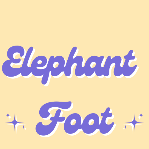 Elephant Foot